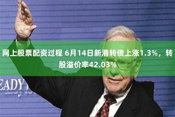 网上股票配资过程 6月14日新港转债上涨1.3%，转股溢价率42.03%