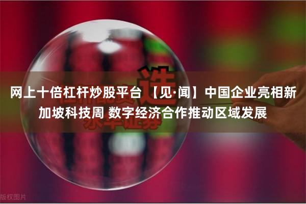 网上十倍杠杆炒股平台 【见·闻】中国企业亮相新加坡科技周 数字经济合作推动区域发展