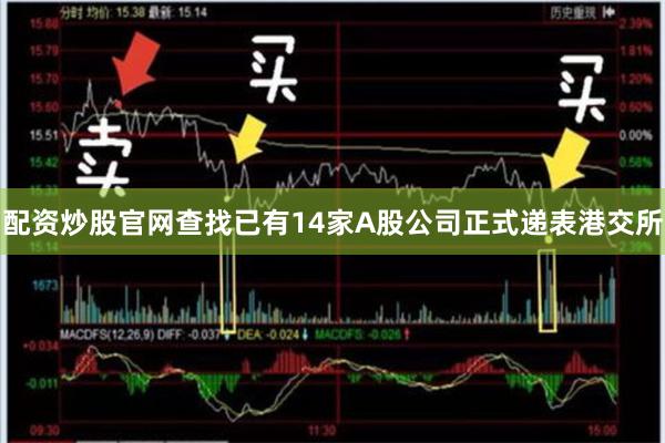 配资炒股官网查找已有14家A股公司正式递表港交所
