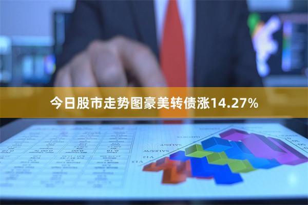 今日股市走势图豪美转债涨14.27%